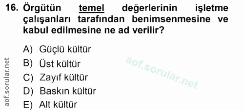 16. soru: Örgütün temel değerlerinin işletme çalışanları tarafından benimsenmesine ve kabul edilmesine ne ad verilir? A) Güçlü…