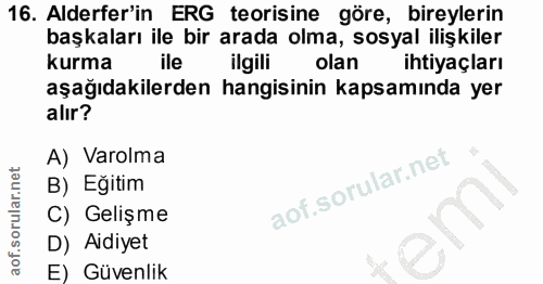16. soru: Alderfer'in ERG teorisine göre, bireylerin başkaları ile bir arada olma, sosyal ilişkiler kurma ile ilgili olan ihtiy…