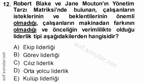 12. soru: Robert Blake ve Jane Mouton'in Yönetim Tarzı Matriksi'nde bulunan, çalışanların isteklerinin ve beklentilerinin öneml…