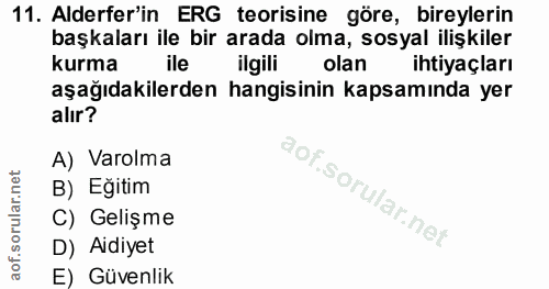 11. soru: Alderfer'in ERG teorisine göre, bireylerin başkaları ile bir arada olma, sosyal ilişkiler kurma ile ilgili olan ihtiy…