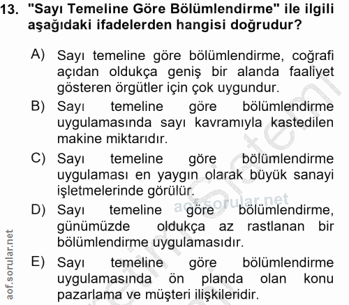 13. soru: "Sayı Temeline Göre Bölümlendirme" ile ilgili aşağıdaki ifadelerden hangisi doğrudur? A) Sayı temeline göre bölümlend…
