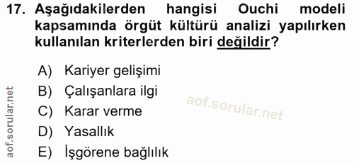 17. soru: Aşağıdakilerden hangisi Ouchi modeli kapsamında örgüt kültürü analizi yapılırken kullanılan kriterlerden biri değildi…