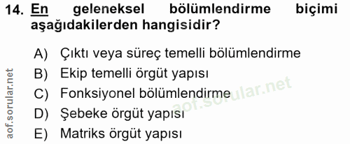 14. soru: En geleneksel bölümlendirme biçimi aşağıdakilerden hangisidir? A) Çıktı veya süreç temelli bölümlendirme C) Fonksiyon…