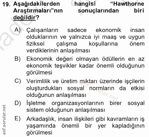19. soru: Aşağıdakilerden hangisi "Hawthorne Araştırmaları"nın sonuçlarından biri değildir? A) Çalışanların sadece ekonomik ins…