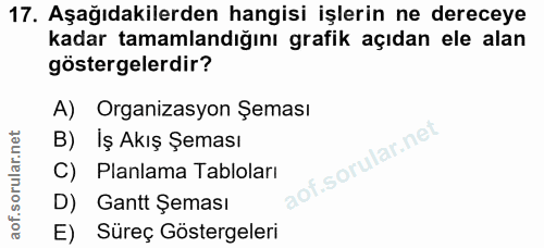 17. soru: Aşağıdakilerden hangisi işlerin ne dereceye kadar tamamlandığını grafik açıdan ele alan göstergelerdir? A) Organizasy…