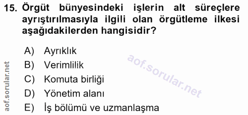 15. soru: Örgüt bünyesindeki işlerin alt süreçlere ayrıştırılmasıyla ilgili olan örgütleme ilkesi aşağıdakilerden hangisidir? A…