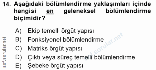 14. soru: Aşağıdaki bölümlendirme yaklaşımları içinde hangisi en geleneksel bölümlendirme biçimidir? A) Ekip temelli örgüt yapı…