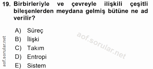 19. soru: Birbirleriyle ve çevreyle ilişkili çeşitli bileşenlerden meydana gelmiş bütüne ne ad verilir? A) Süreç B) İlişki C) T…