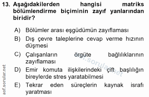 13. soru: Aşağıdakilerden hangisi matriks bölümlendirme biçiminin zayıf yanlarından biridir? A) Bölümler arası eşgüdümün zayıfl…