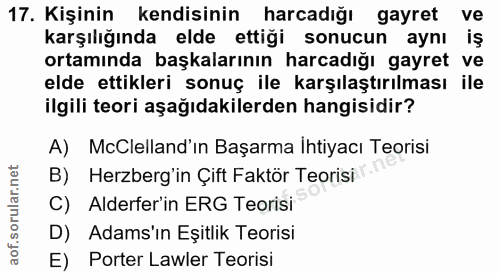 17. soru: Kişinin kendisinin harcadığı gayret ve karşılığında elde ettiği sonucun aynı iş ortamında başkalarının harcadığı gayr…