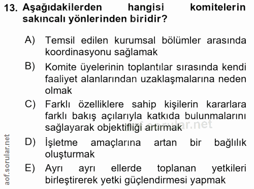 13. soru: Aşağıdakilerden hangisi komitelerin sakıncalı yönlerinden biridir? A) Temsil edilen kurumsal bölümler arasında koordi…