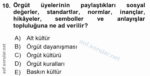 10. soru: Örgüt üyelerinin paylaştıkları sosyal değerler, standartlar, normlar, inançlar, hikâyeler, semboller ve anlayışlar to…