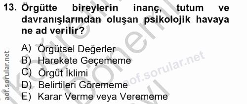 13. soru: Örgütte bireylerin inang, tutum ve davranışlarından oluşan psikolojik havaya ne ad verilir? A) Örgütsel Değerler B) H…