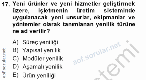 17. soru: Yeni ürünler ve yeni hizmetler geliştirmek üzere, işletmenin üretim sisteminde uygulanacak yeni unsurlar, ekipmanlar…