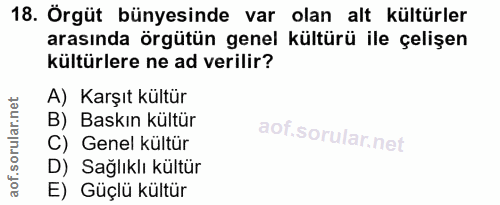 18. soru: Örgüt bünyesinde var olan alt kültürler arasında örgütün genel kültürü ile çelişen kültürlere ne ad verilir? A) Karşı…