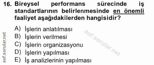 16. soru: Bireysel performans sürecinde standartlarının belirlenmesinde en önemli faaliyet aşağıdakilerden hangisidir? A) İşler…