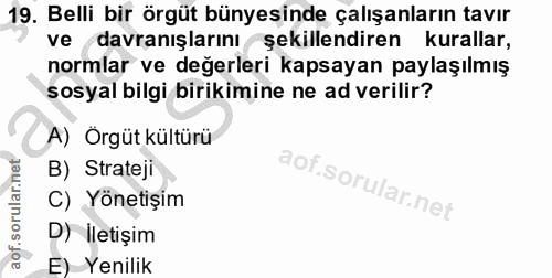 19. soru: Belli bir örgüt bünyesinde çalışanların tavır ve davranışlarını şekillendiren kurallar, normlar ve değerleri kapsayan…