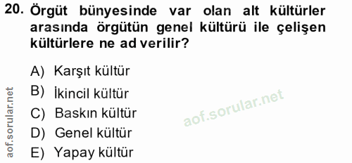 20. soru: Örgüt bünyesinde var olan alt kültürler arasında örgütün genel kültürü ile çelişen kültürlere ne ad verilir? A) Karşı…