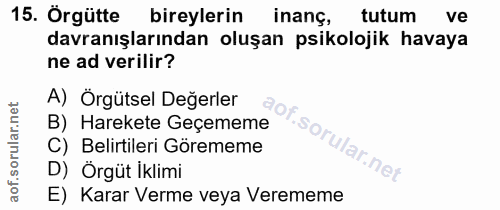 15. soru: Örgütte bireylerin inang, tutum ve davranışlarından oluşan psikolojik havaya ne ad verilir? A) Örgütsel Değerler Of B…