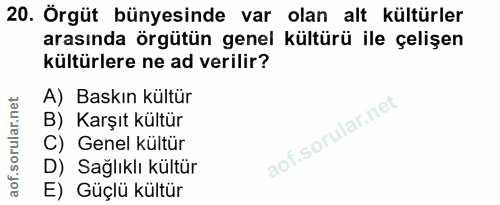 20. soru: Örgüt bünyesinde var olan alt kültürler arasında örgütün genel kültürü ile çelişen kültürlere ne ad verilir? A) Baskı…