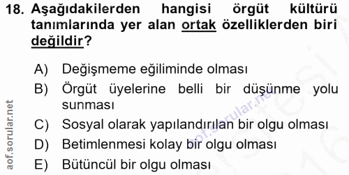 18. soru: Aşağıdakilerden hangisi örgüt kültürü tanımlarında yer alan ortak özelliklerden biri değildir? A) Değişmeme eğilimind…