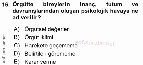 16. soru: Örgütte bireylerin inans, tutum ve davranışlarından oluşan psikolojik havaya ne ad verilir? A) Örgütsel değerler C) H…