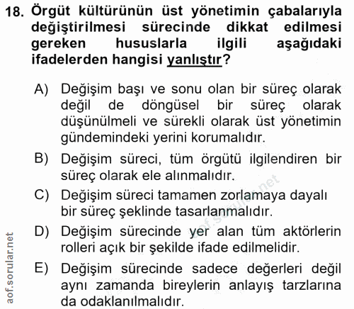 18. soru: Örgüt kültürünün üst yönetimin çabalarıyla değiştirilmesi sürecinde dikkat edilmesi gereken hususlarla ilgili aşağıda…