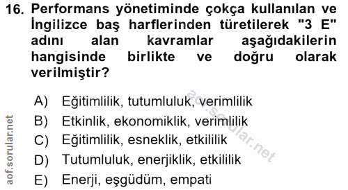 16. soru: Performans yönetiminde çokça kullanılan ve İngilizce baş harflerinden türetilerek "3 E" adını alan kavramlar aşağıdak…