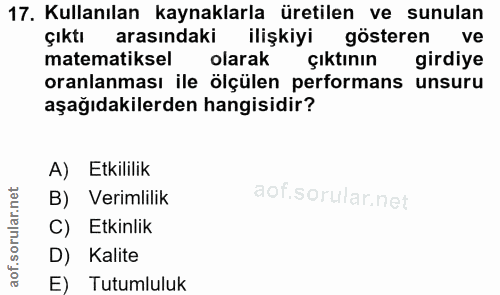 17. soru: Kullanılan kaynaklarla üretilen ve sunulan çıktı arasındaki ilişkiyi gösteren ve matematiksel olarak çıktının girdiye…