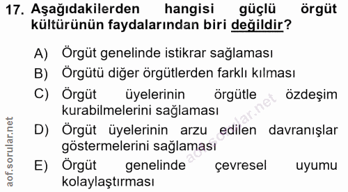 17. soru: Aşağıdakilerden hangisi güçlü örgüt kültürünün faydalarından biri değildir? A) Örgüt genelinde istikrar sağlaması B)…