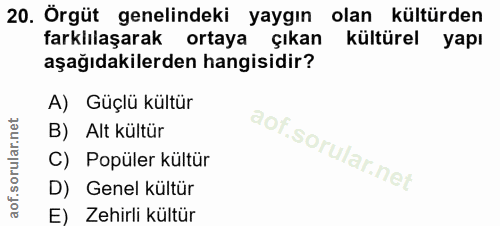 20. soru: Örgüt genelindeki yaygın olan kültürden farklılaşarak ortaya çıkan kültürel yapı aşağıdakilerden hangisidir? A) Güçlü…