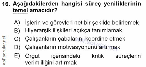 16. soru: Aşağıdakilerden hangisi süreç yeniliklerinin temel amacıdır? A) Işlerin ve görevleri net bir şekilde belirlemek B) Hi…