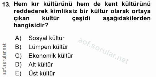 13. soru: Hem kır kültürünü hem de kent kültürünü reddederek kimliksiz bir kültür olarak ortaya çıkan kültür çeşidi aşağıdakile…