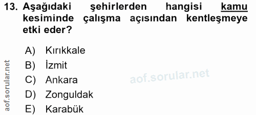 13. soru: Aşağıdaki şehirlerden hangisi kamu kesiminde çalışma açısından kentleşmeye etki eder? A) Kırıkkale B) İzmit rular Ank…