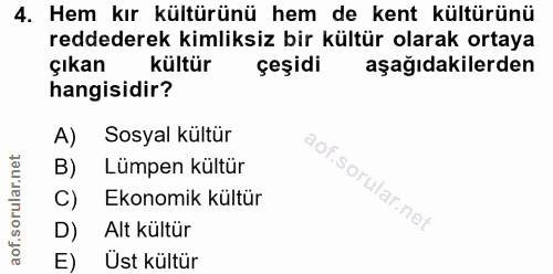4. soru: Hem kır kültürünü hem de kent kültürünü reddederek kimliksiz bir kültür olarak ortaya çıkan kültür çeşidi aşağıdakile…