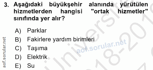 3. soru: Aşağıdaki büyükşehir alanında yürütülen hizmetlerden hangisi "ortak hizmetler" sınifında yer alır? A) Parklar B) Faki…