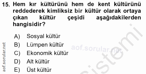 15. soru: Hem kır kültürünü hem de kent kültürünü reddederek kimliksiz bir kültür olarak ortaya çıkan kültür çeşidi aşağıdakile…