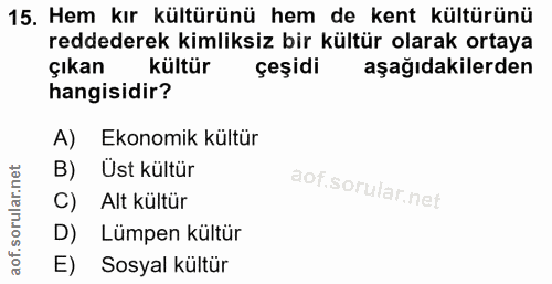 15. soru: Hem kır kültürünü hem de kent kültürünü reddederek kimliksiz bir kültür olarak ortaya çıkan kültür çeşidi aşağıdakile…