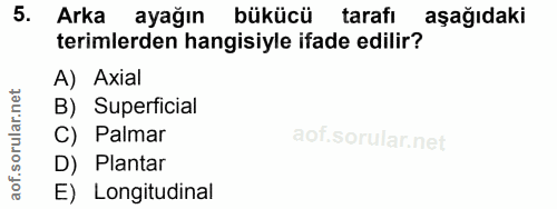 5. soru: Arka ayağın bükücü tarafı aşağıdaki terimlerden hangisiyle ifade edilir? A) Axial B) Superficial C) Palmar D) Plantar…
