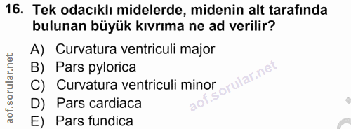 16. soru: Tek odacıklı midelerde, midenin alt tarafında bulunan büyük kıvrıma ne ad verilir? A) Curvatura ventriculi major B) P…