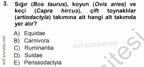 3. soru: Sığır (Bos taurus), koyun (Ovis aries) ve keçi (Capra hircus), çift toynaklılar (artiodactyla) takımına ait hangi alt…