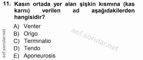 11. soru: Kasın ortada yer alan şişkin kısmına (kas karnı) verilen ad aşağıdakilerden hangisidir? A) Venter B) Origo C) Termina…