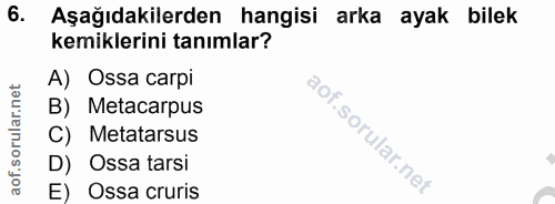 6. soru: Aşağıdakilerden hangisi arka ayak bilek kemiklerini tanımlar? A) Ossa carpi B) Metacarpus C) Metatarsus D) Ossa tarsi…