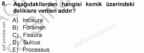 8. soru: Aşağıdakilerden hangisi kemik üzerindeki deliklere verilen addır? A) Incisura B) Foramen ar.ne - Fissura aof.so Sulcu…