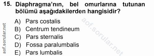 15. soru: Diaphragma'nın, bel omurlarina tutunan bölümü aşağıdakilerden hangisidir? A) Pars costalis B) Centrum tendineum C) Pa…