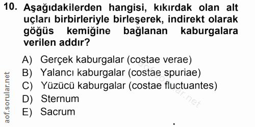 10. soru: Aşağıdakilerden hangisi, kıkırdak olan alt uçları birbirleriyle birleşerek, indirekt olarak göğüs kemiğine bağlanan k…