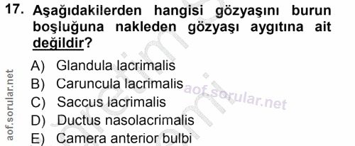 17. soru: Aşağıdakilerden hangisi gözyaşını burun boşluğuna nakleden gözyaşı aygıtına ait değildir? A) Glandula lacrimalis B) C…