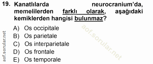 19. soru: Kanatlılarda neurocranium' da, memelilerden farklı olarak, aşağıdaki kemiklerden hangisi bulunmaz? A) Os occipitale B…