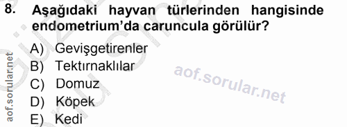 8. soru: Aşağıdaki hayvan türlerinden hangisinde endometrium'da caruncula görülür? A) Gevişgetirenler B) Tektırnaklılar C) Dom…