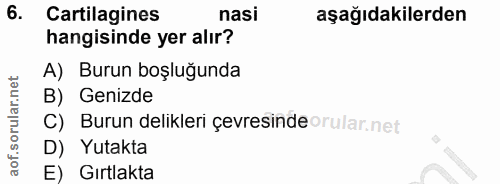 6. soru: Cartilagines nasi aşağıdakilerden hangisinde yer alır? A) Burun boşluğunda B) Genizde C) Burun delikleri çevresinde o…